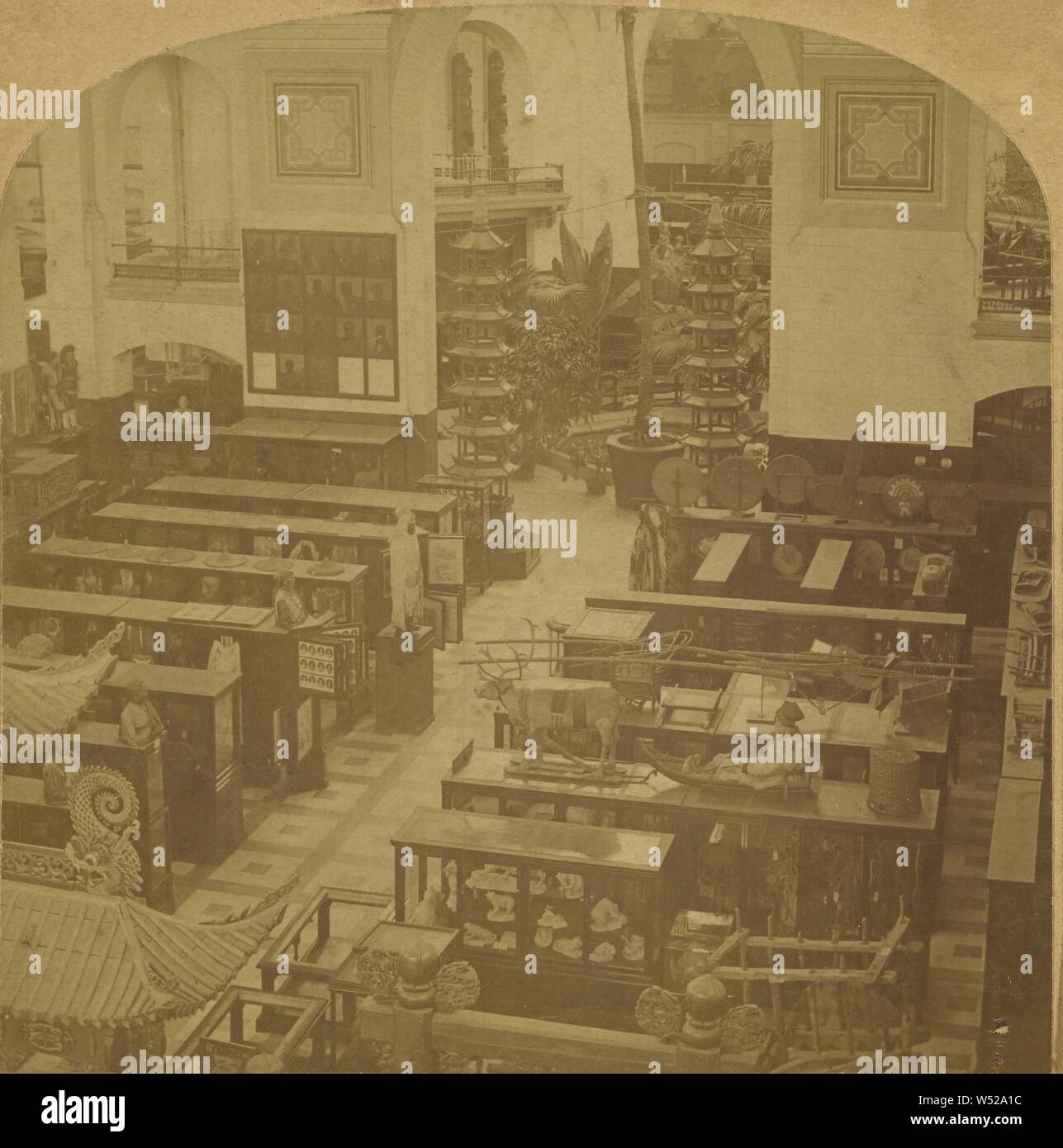 Innenraum der Natural History Department, Washington, D.C., USA, Benjamin West Kilburn (American, 1827-1909), über 1889, Eiweiß silber Drucken Stockfoto