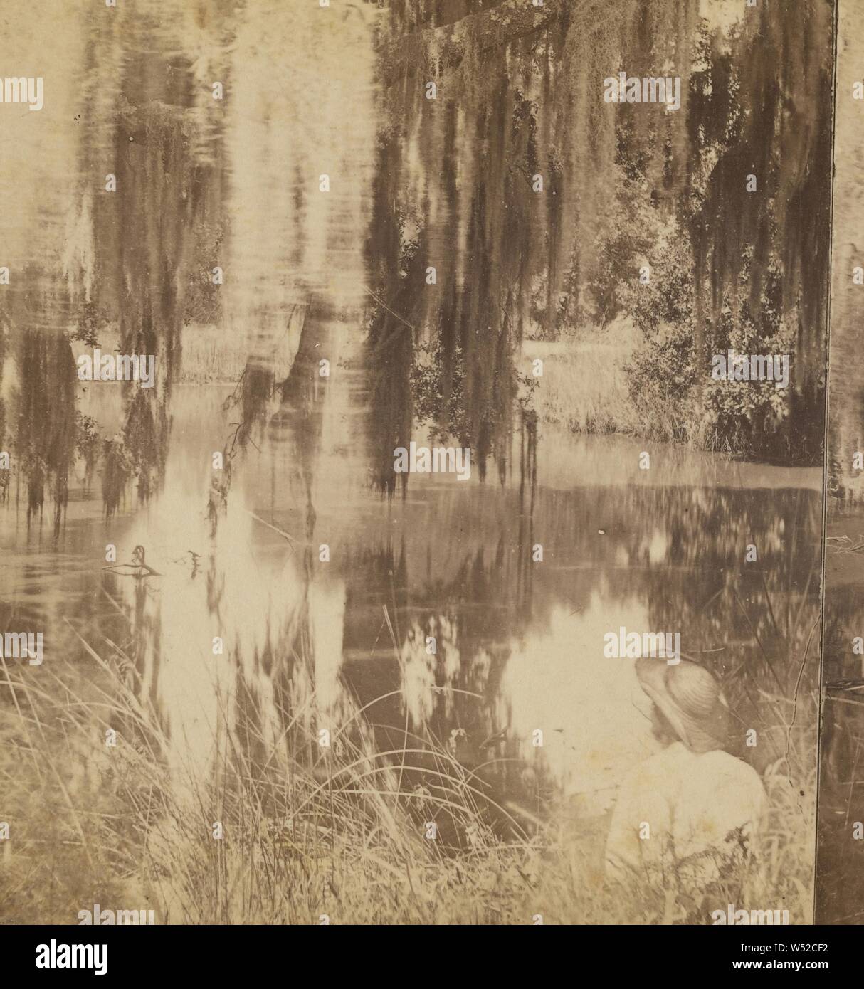 Sumpf, Charleston, South Carolina, Frank A. Nowell (Amerikanisch, aktive 1880s), ca. 1885, Eiweiß silber Drucken Stockfoto