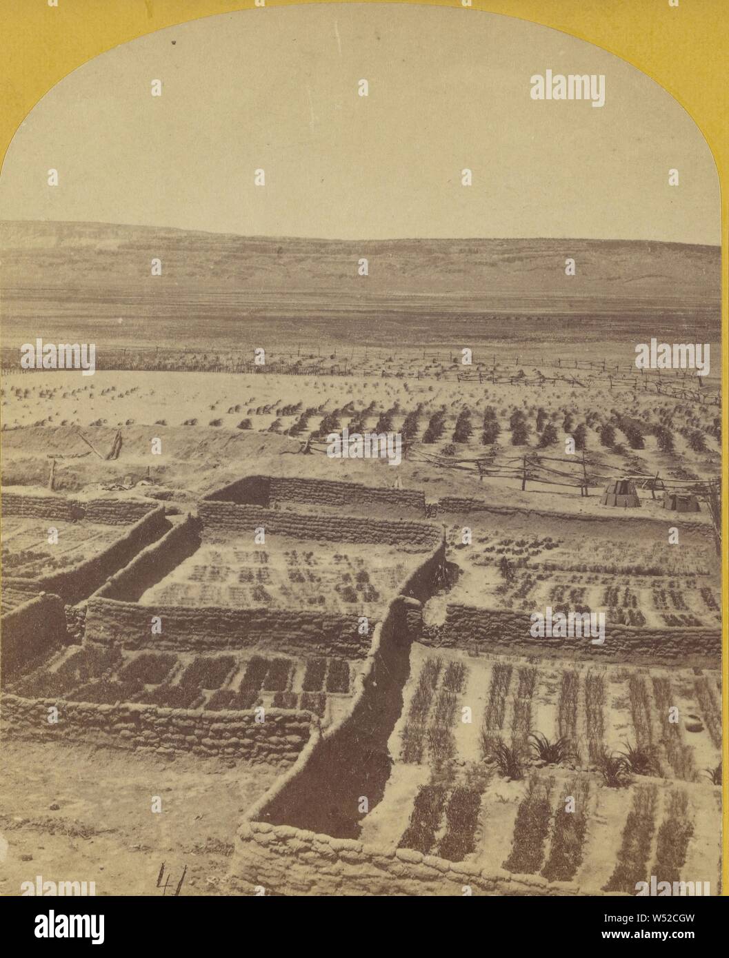 Gärten von Zuni Pueblo, N.M., Timothy H. O'Sullivan (American, um 1840-1882), 1873, Eiweiß silber Drucken Stockfoto