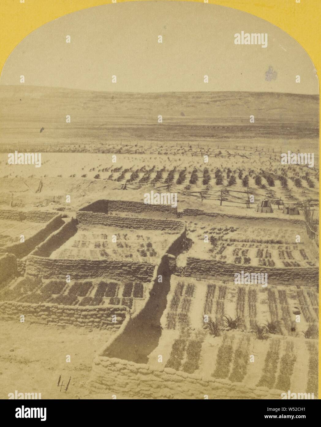 Gärten, die das Indian Pueblo der Zuni, in denen eine Vielzahl von Gemüse angehoben werden, wie Paprika, Zwiebeln, Knoblauch, &c., Timothy H. O'Sullivan (American, um 1840-1882), 1873, Eiweiß silber Drucken Stockfoto