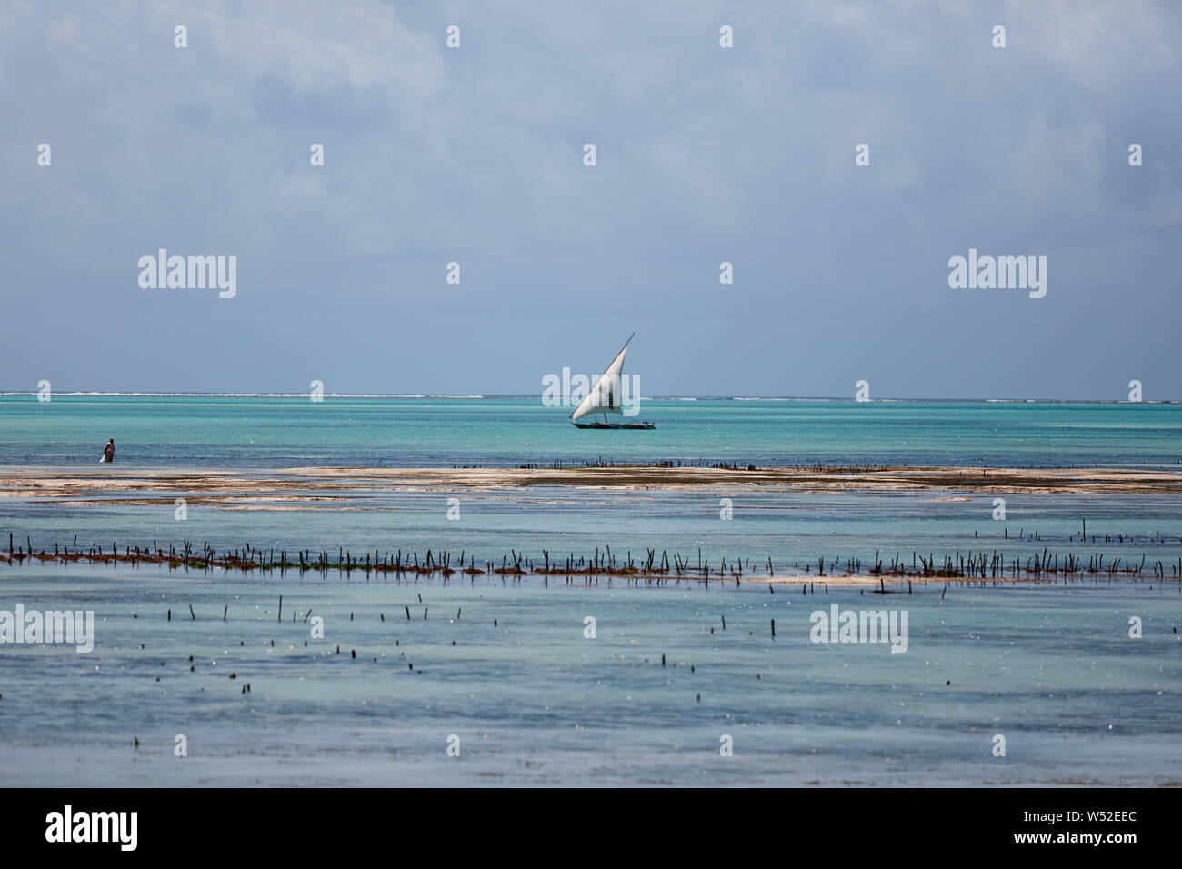 Alte afrikanische Segelboot. Fischerboot, Sansibar Afrika Stockfoto