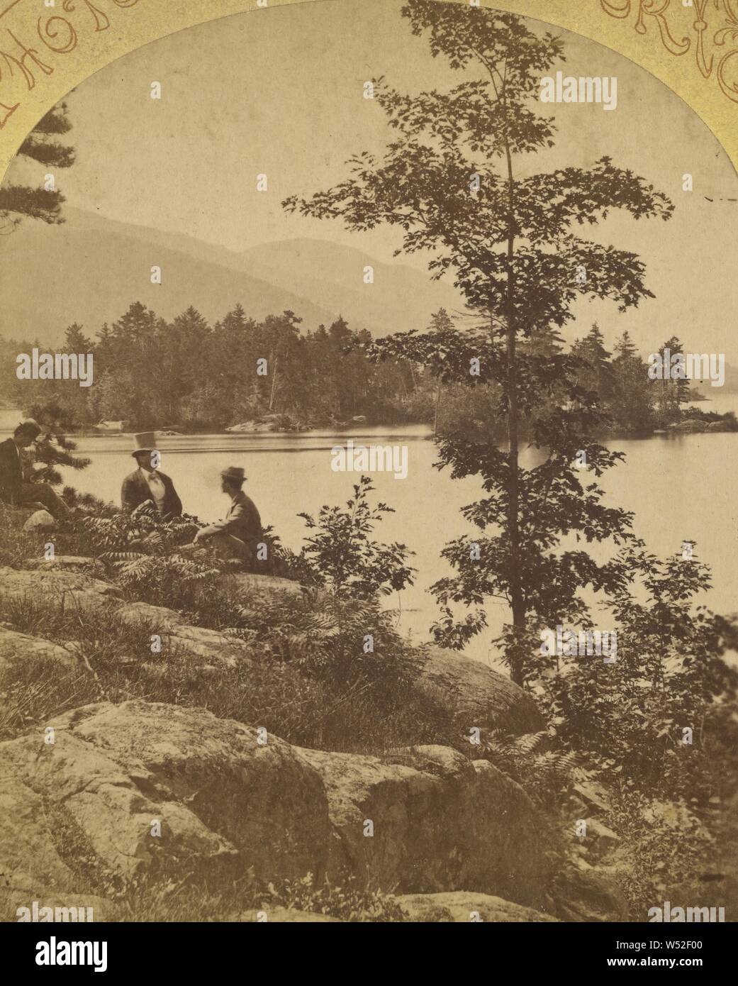 Hen und Hühner, Lake George, S.R. Stoddard (American, 1843 oder 1844 - 1917), um 1875, Eiweiß silber Drucken Stockfoto