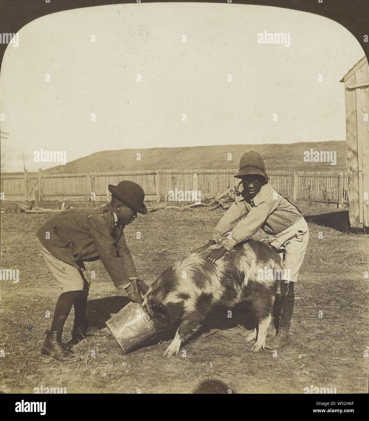 Git auf schnelle Rastus, - er getan habe es Mos'fressen., Hawley C. White Company, 1901, Silbergelatineabzug Stockfoto