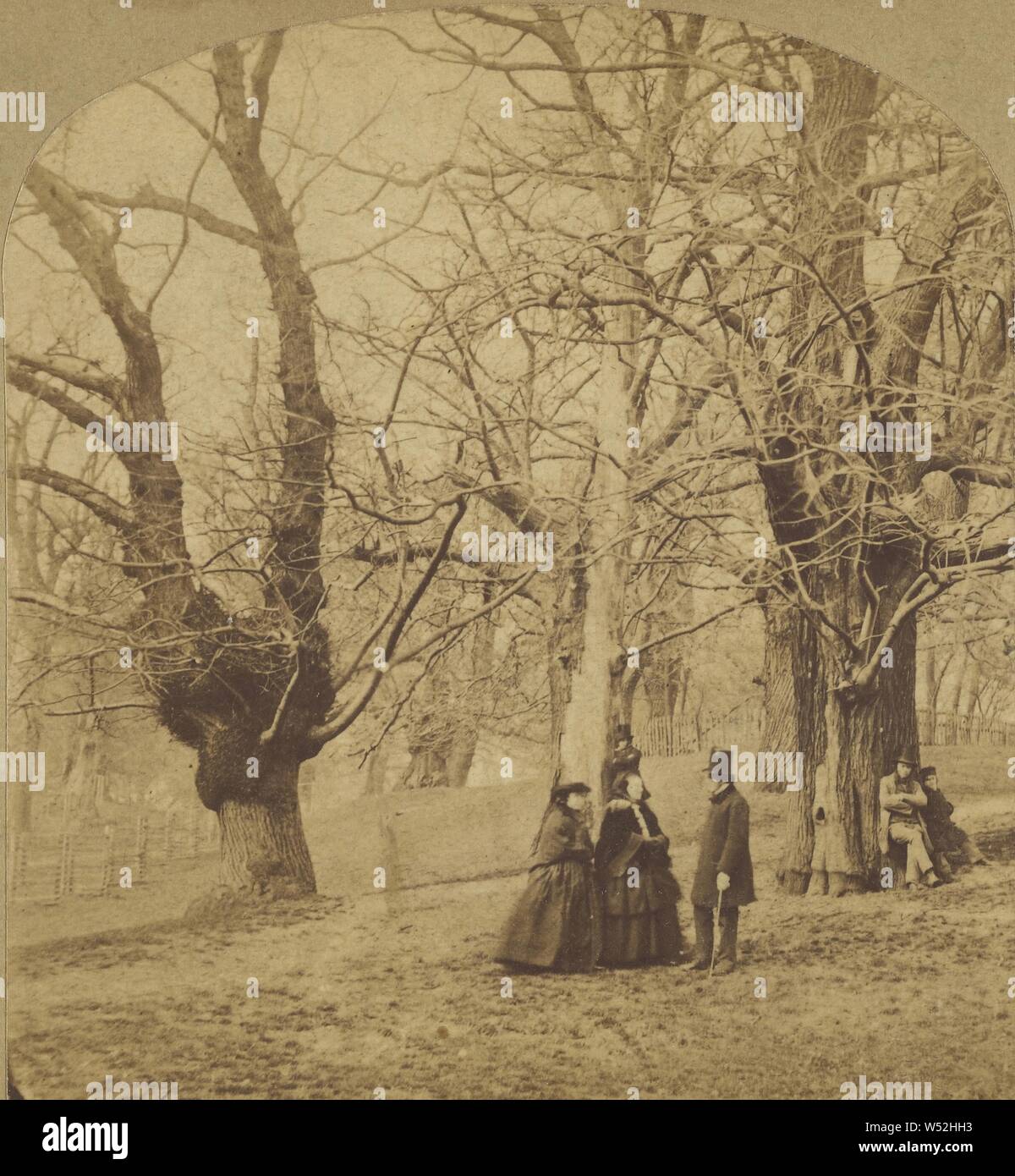 Christus Kirche Park, Ipswich., Unbekannten, Britischen, ungefähr 1860, Eiweiß silber Drucken Stockfoto