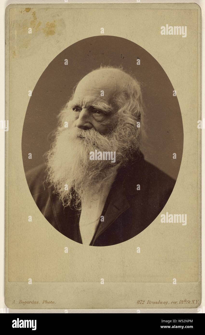 William Cullen Bryant, Abraham Bogardus (American, 1822-1908), über 1877, Eiweiß silber Drucken Stockfoto