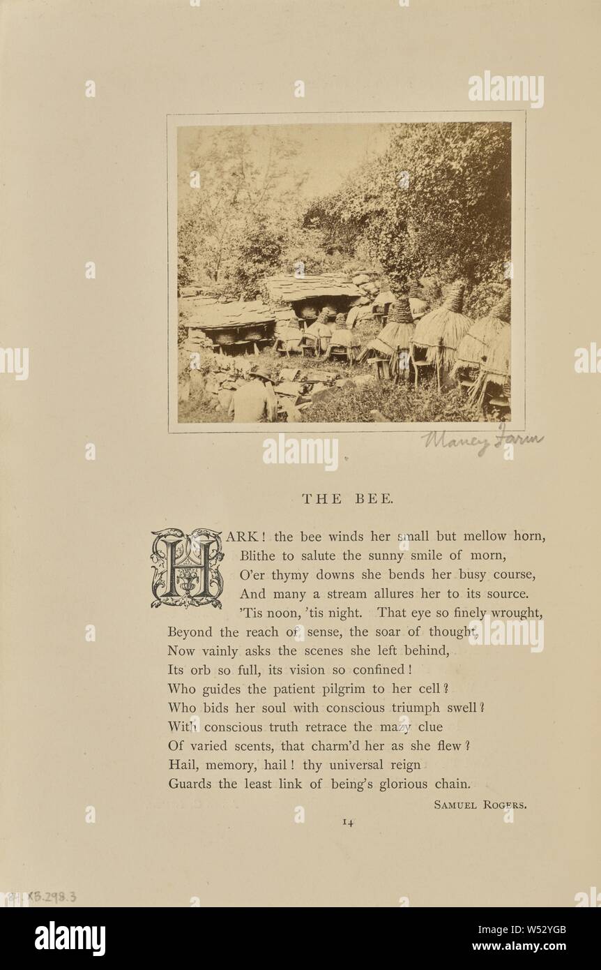 Bienenhaus mit Stroh Nesselsucht, England, William Grundy (Englisch, 1806-1859), London, England, negative vor 1860, über 1861, Eiweiß Silber drucken, 7 × 7,8 cm (2 3/4 x 3 1/16 in Stockfoto