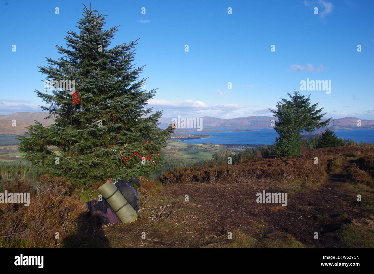 Der Loch Lomond und Cowal Weg. Halbinsel Cowal. Hochland. Schottland. Großbritannien Stockfoto