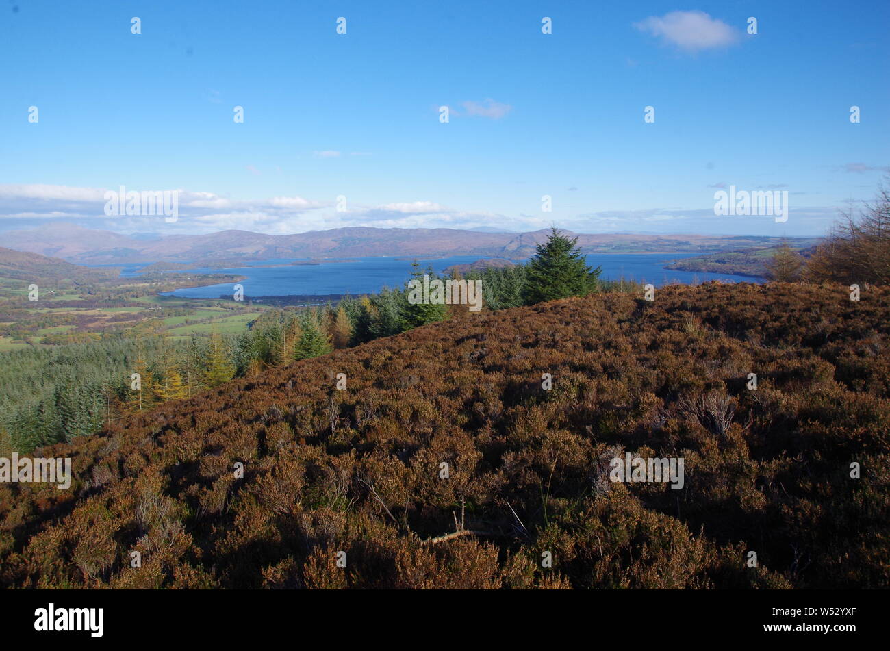 Der Loch Lomond und Cowal Weg. Halbinsel Cowal. Hochland. Schottland. Großbritannien Stockfoto