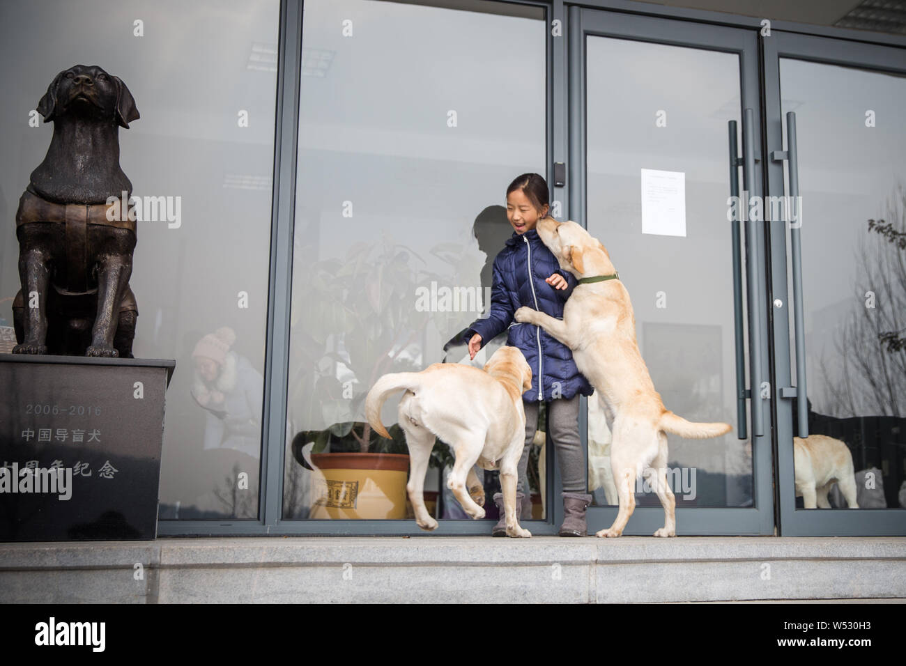 Ein Führhund Küsse ein kleines Mädchen auf der Basis von chinesischen Führer Hundetrainer Wang Xin, die mit einem Doktorat in Psychologie an der Bewerberin bzw. dem Bewerber graduierte Stockfoto