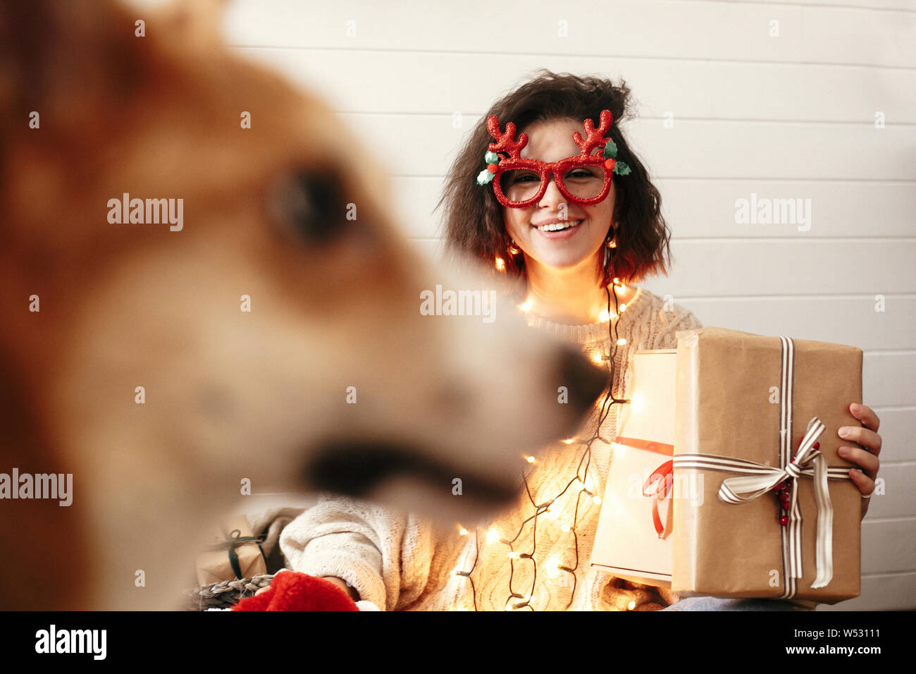 Stilvolle glückliches Mädchen mit Geschenk Box in Weihnachtsbeleuchtung und lächelnd cute goldenen Hund. Junge Frau im festlichen Gläser mit Hirschgeweihen und Stockfoto