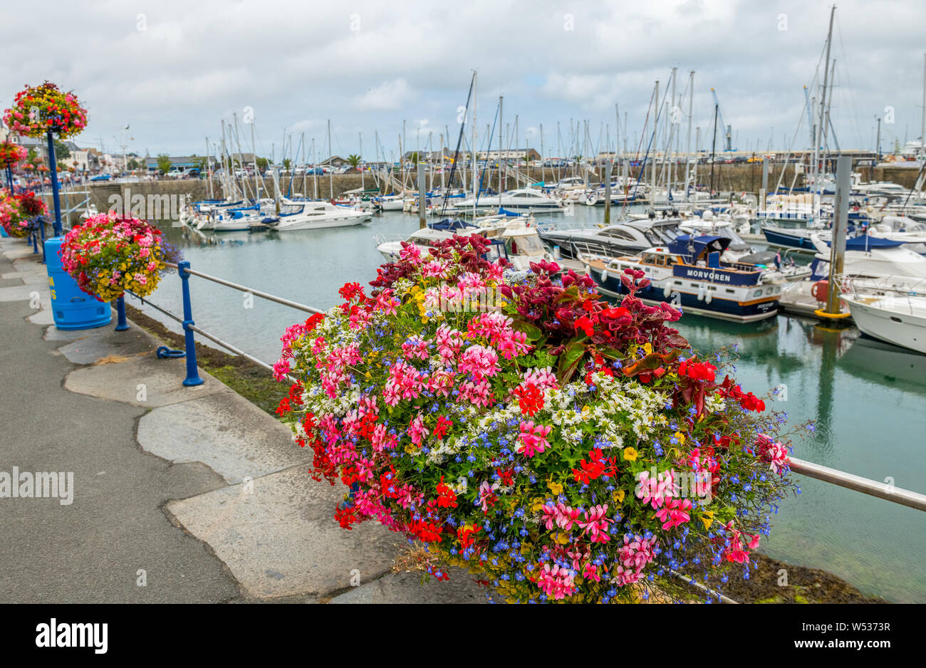 Eine Anzeige der hängende Körbe an der Marina St Peters Port, Guernsey. Stockfoto