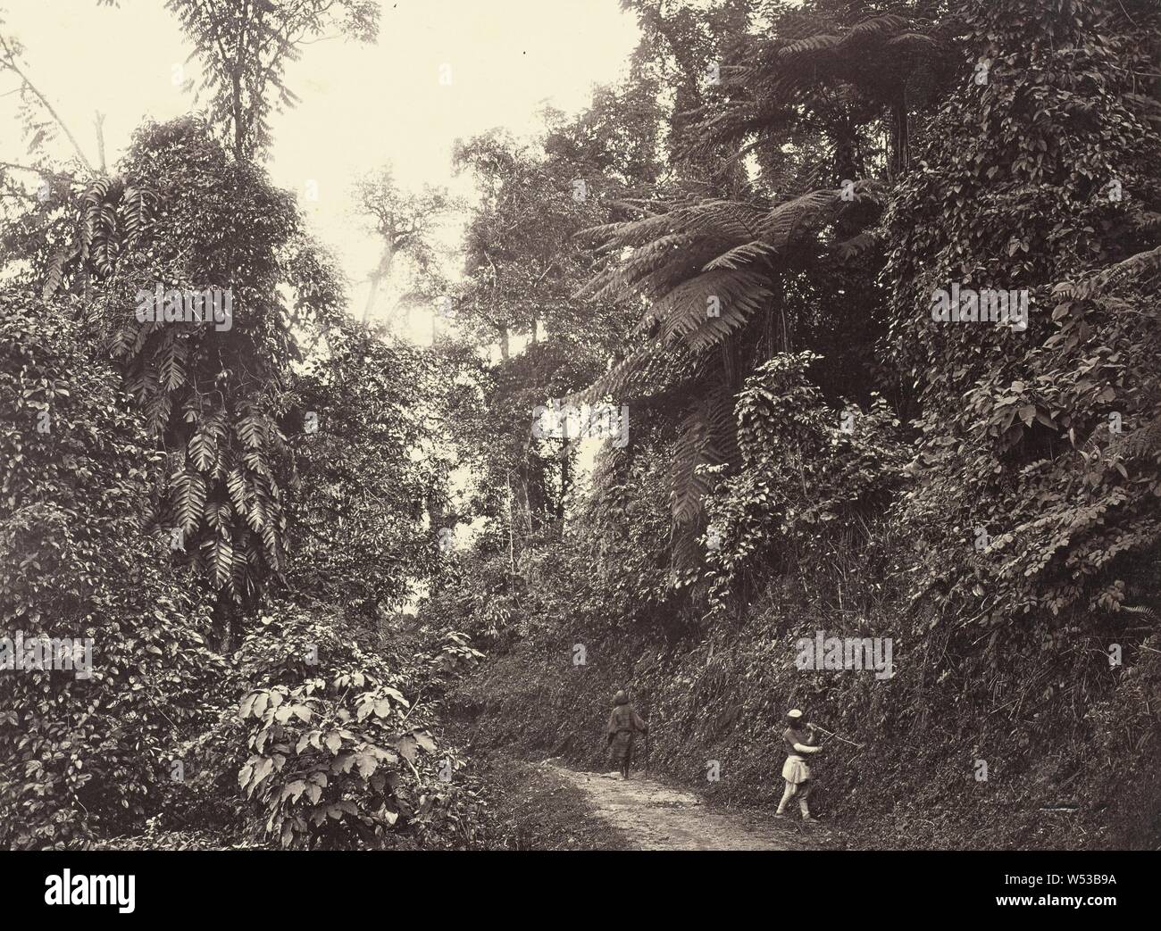 Man Hacken Rebsorten an der Straße, unbekannter Teekocher, Indien, ca. 1866, Eiweiß Silber drucken, 17,9 × 24 cm (7 1/16 x 9 7/16 Stockfoto