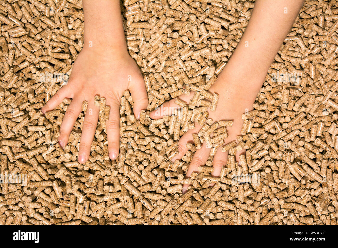 Holz- pellet scharfe Kiefern Stockfoto