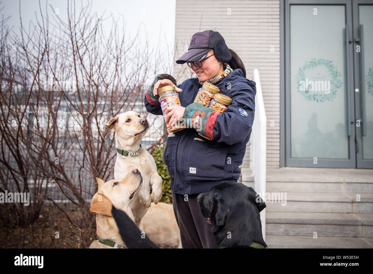 Chinesischen Führer Hundetrainer Wang Xin, die mit einem Doktorat in Psychologie an einer Universität in Japan studiert, sieht nach Hunde an der Ausbildung ba Stockfoto