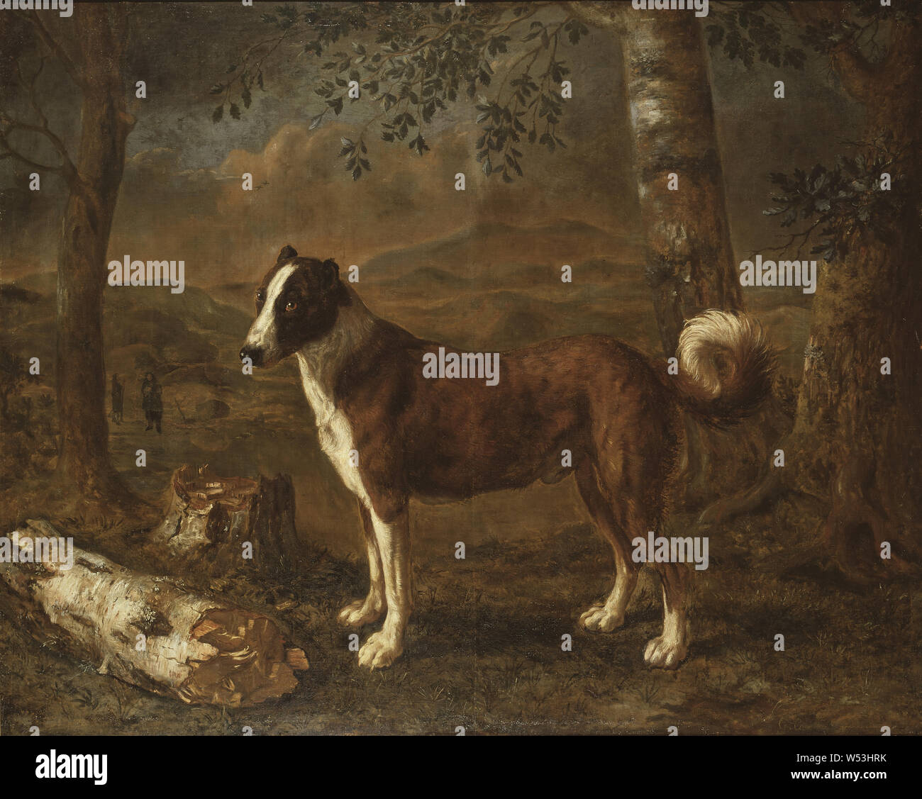 Thomas Niemann Dircksz Camphuysen, Hund und eine Birke anmelden, Hund in Landschaft, Malerei, Landschaft, Kunst, Öl auf Leinwand, Höhe 139,5 cm (54,9 Zoll), Breite, 173,5 cm (68,3 Zoll), Inschriften, Englisch, unterzeichnet, G. Camphuisen 1651, unten rechts Stockfoto