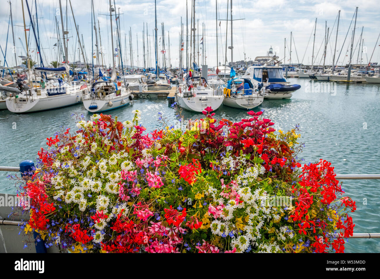 Eine Anzeige der hängende Körbe an der Marina St Peters Port, Guernsey. Stockfoto