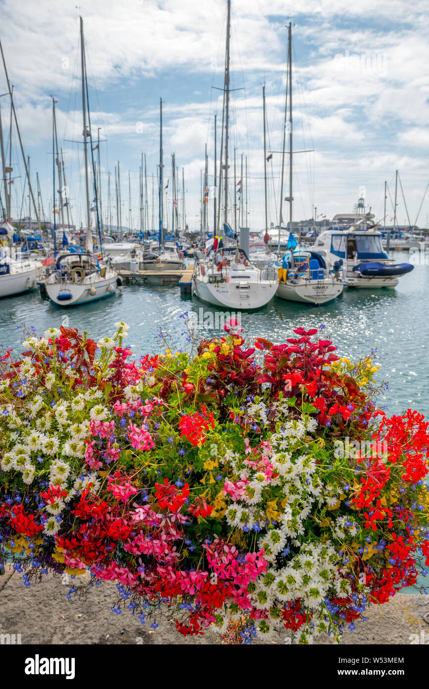 Eine Anzeige der hängende Körbe an der Marina St Peters Port, Guernsey. Stockfoto