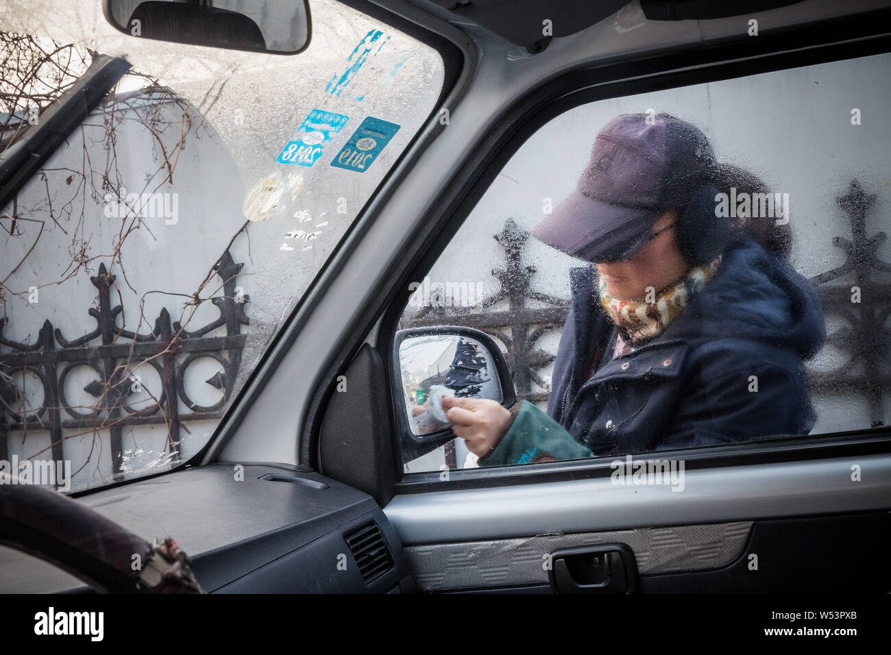 Chinesischen Führer Hundetrainer Wang Xin, die mit einem Doktorat in Psychologie an einer Universität in Japan studiert, entfernt den Frosch auf den Spiegel Ihres Autos Stockfoto