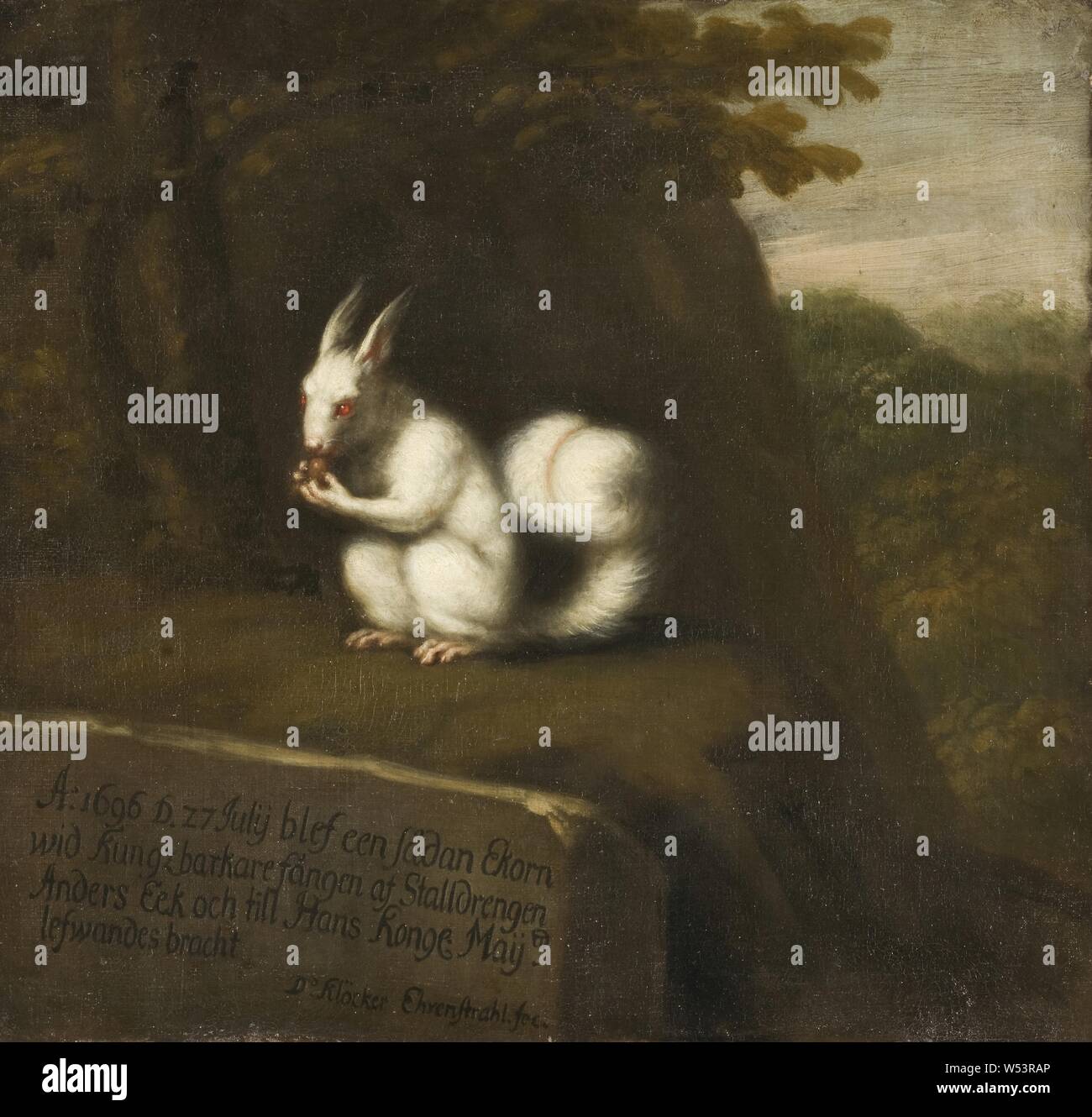 David Klöcker Ehrenstrahl, weißen Eichhörnchen in einer Landschaft, die weißen Eichhörnchen in Landschaft, Malerei, Malerei, 1696, Öl auf Leinwand, Höhe, 61,5 cm (24,2 Zoll), Breite 64 cm (25,1 Zoll), Inschriften, Englisch, unterzeichnet, A, 1696 D. 24.07.27 Eine solche Eichhörnchen wid Stalldrengen Kungzbarkare von Anders Eek gefangen genommen wurde und zu ... Fortsetzung. In das Feld Kommentar Stockfoto