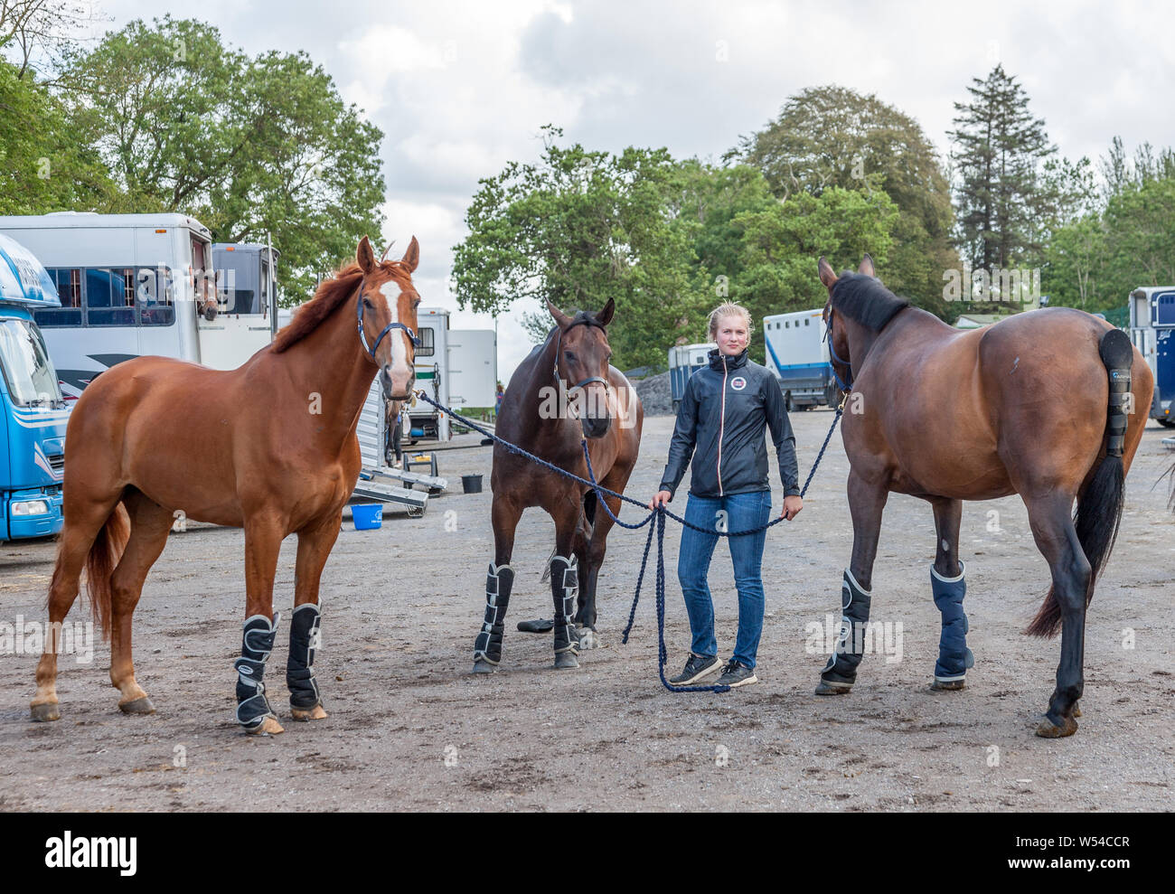 Carrigaline, Cork, Irland. 26. Juli, 2019. Chloe Garrett von Thurles kümmern um drei Pferde im Premier Grand Prix, 3-tägige Veranstaltung am Maryville Reitzentrum in Carrigaline, Co Cork, Irland, statt. Kredit; David Creedon/Alamy leben Nachrichten Stockfoto