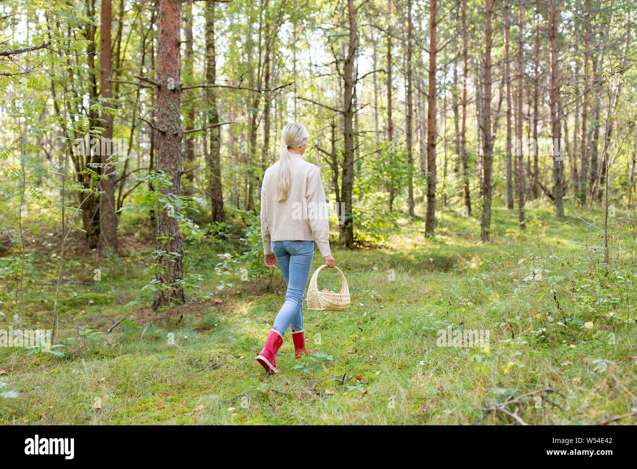 Junge Frau Pilze im Herbst Wald Stockfoto