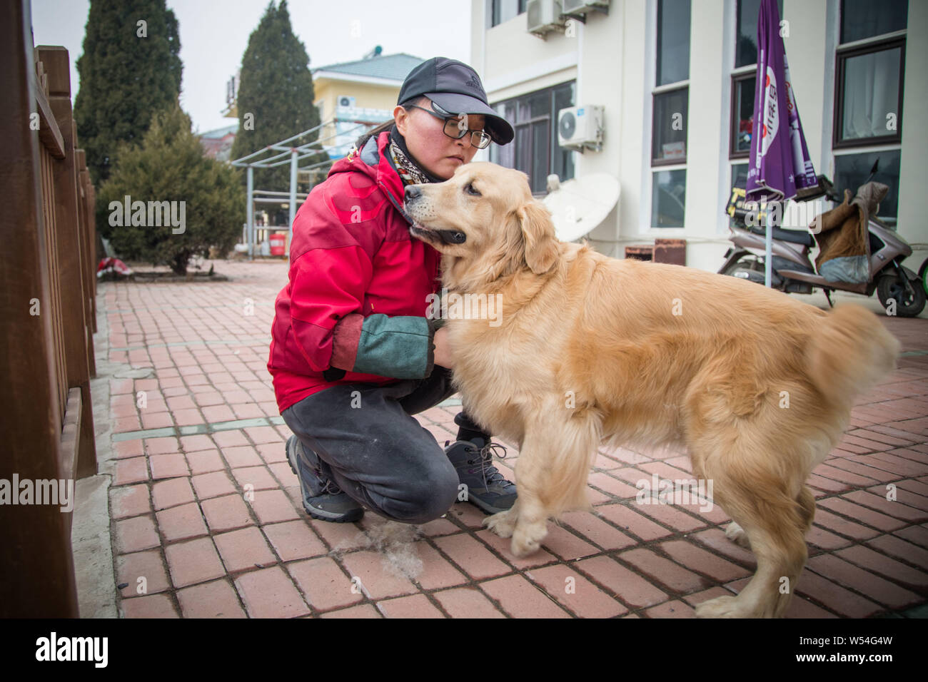 Chinesischen Führer Hundetrainer Wang Xin, die mit einem Doktorat in Psychologie an einer Universität in Japan studiert, sieht nach einem blindenhund an der Ausbildung b Stockfoto