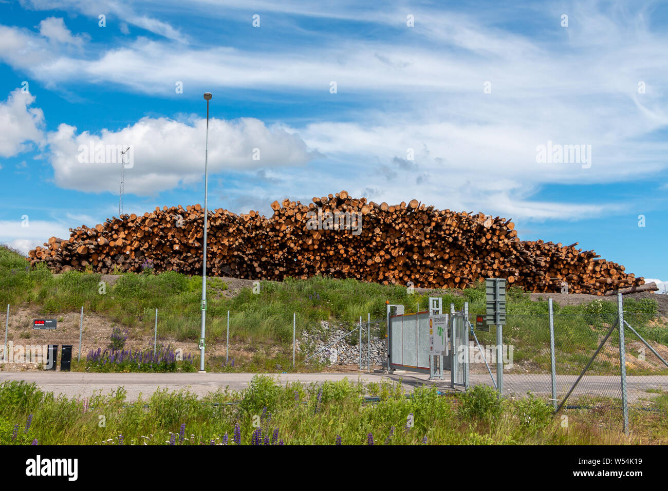 Holzpfähle für den Einsatz in der Bio Energy Anlage von Hudiksvall eine Stadt in der Provinz Gävleborgs län Schweden bereit Stockfoto