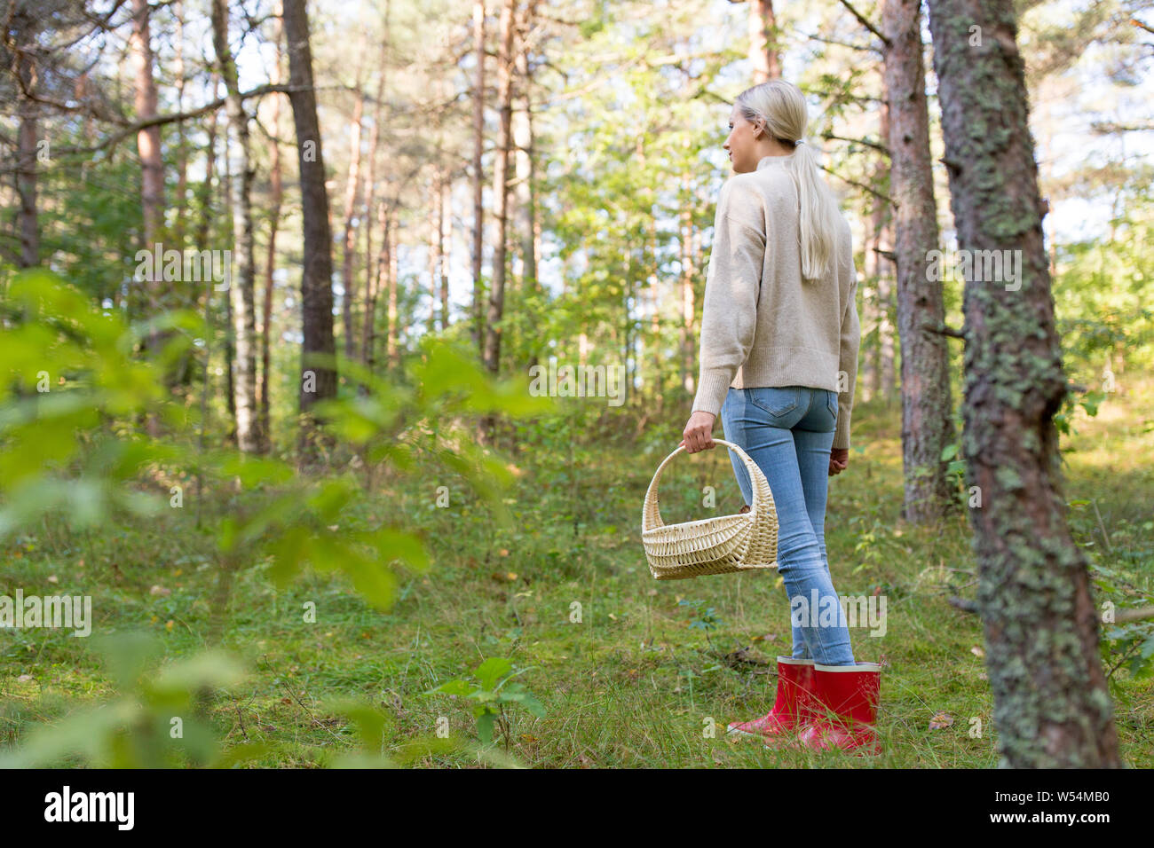 Junge Frau Pilze im Herbst Wald Stockfoto