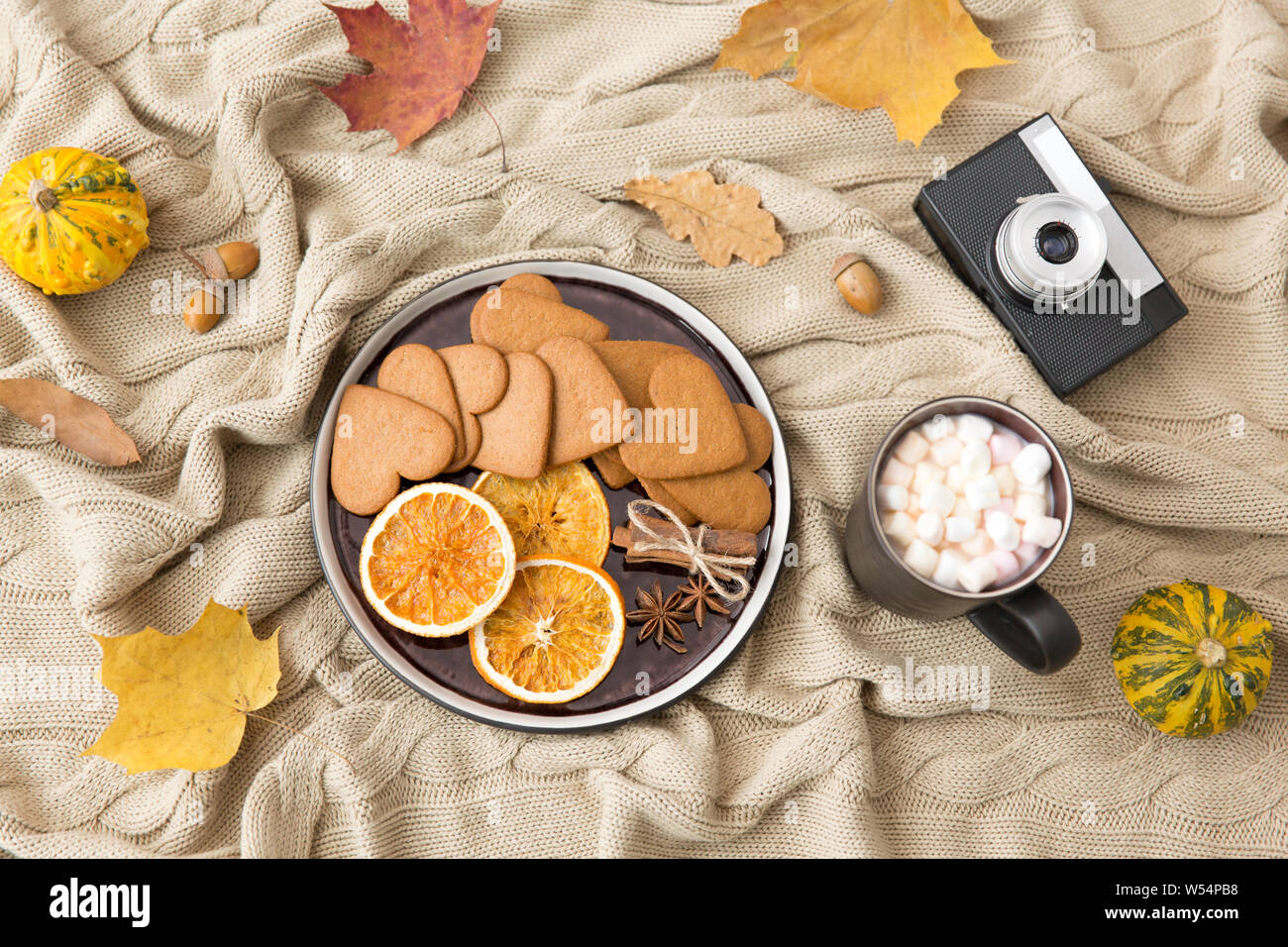 Lebkuchen, heiße Schokolade und Kamera im Herbst Stockfoto