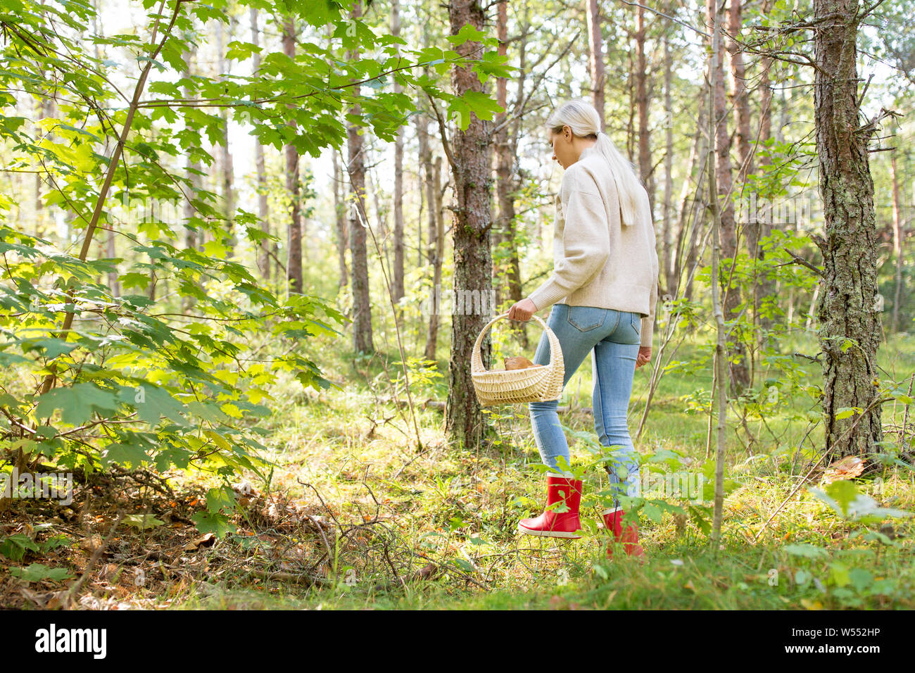 Junge Frau Pilze im Herbst Wald Stockfoto