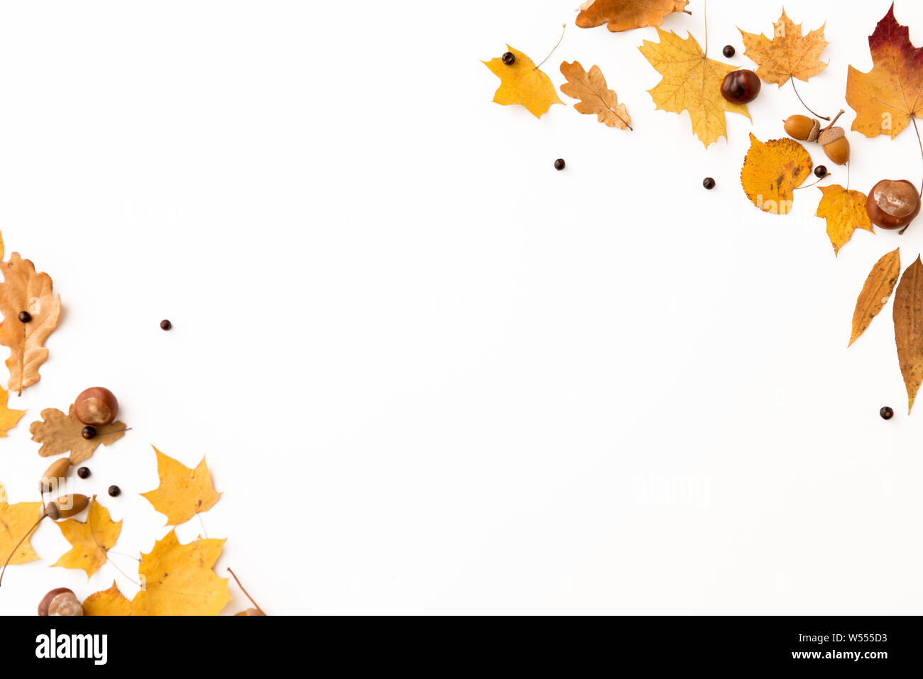 Herbst Blätter, Kastanien, Eicheln und chokeberries Stockfoto