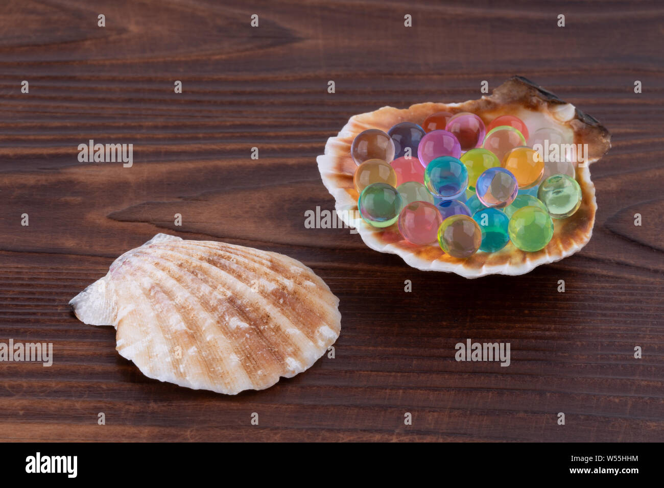 Sea Shell mit bunten Hydrogel Kugeln Stockfoto