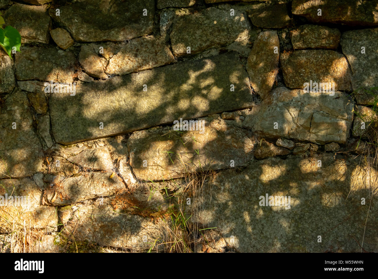 Schatten der Blätter auf einer alten Mauer von unregelmäßigen Steinen in der warmen Morgensonne Stockfoto