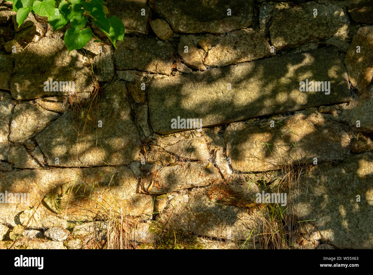 Schatten der Blätter auf einer alten Mauer von unregelmäßigen Steinen in der warmen Morgensonne Stockfoto