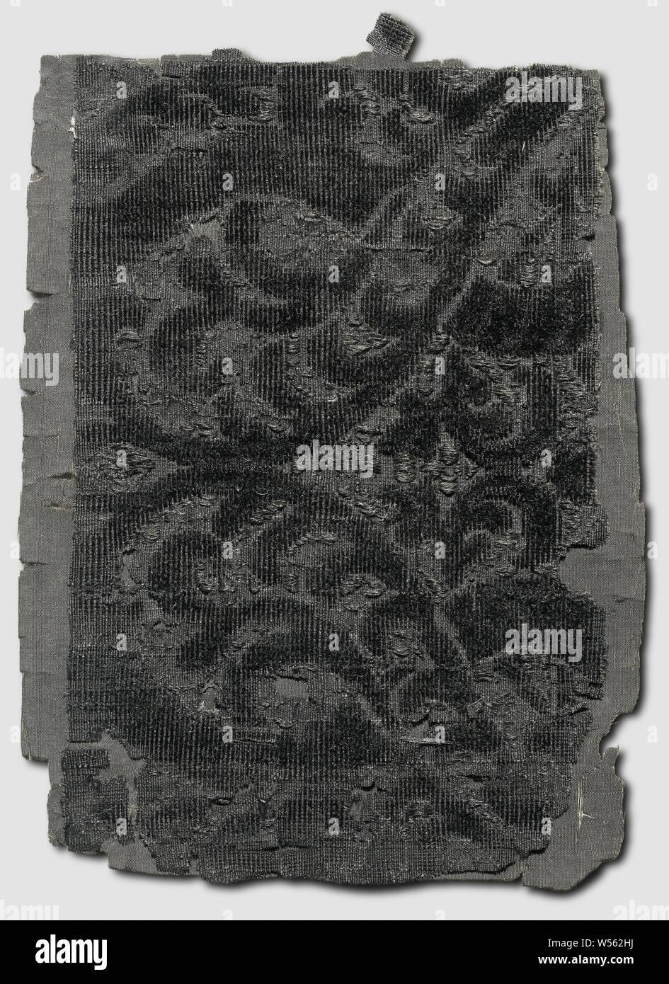 Fragment aus einem Umhang aus Samt samt, nach der Tradition von Hugo de Groot, Fragment eines Mantel der Velvet velvet Velvet auf einem Hintergrund von schwarzem Taft. Jahrhundert Muster mit Blättern in Form von c-voluten und länglich s-voluten, Hugo de Groot, anonym, Niederlande, C. 1600 - C. 1699, Seide, Samt (gewebewebart), Taft, h 12,7 cm x W 17 cm x H 11 cm x W 16,2 cm Stockfoto