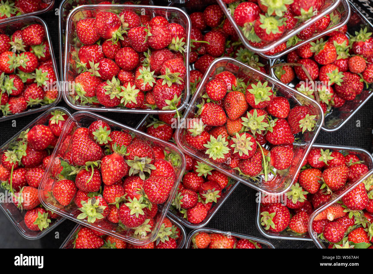 Tropische Fruchte Und Pflanzen Stockfotos Und Bilder Kaufen Alamy