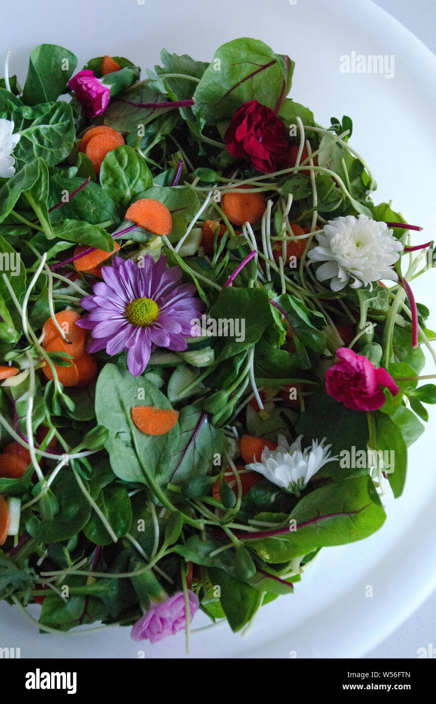 Raw vegane Ernährung. Salat mit essbaren Blüten. Stockfoto