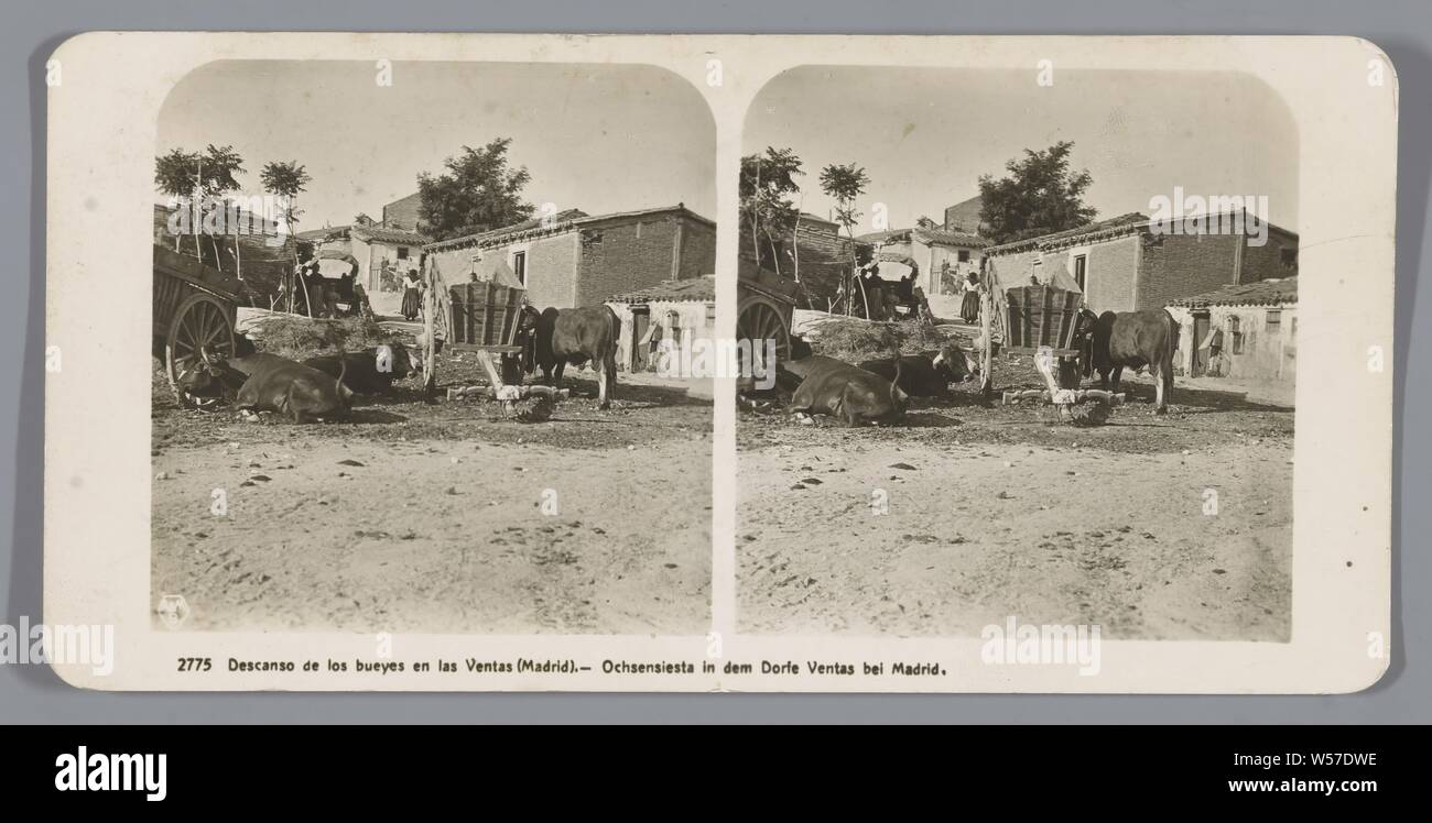 Verkauf von Vieh in der Nähe von Madrid, Descanso de los bueyes und Las Ventas (Madrid). (Titel auf Objekt), Rinder, (Bauernhof) Wagen, Güterwagen, Karre, Comunidad de Madrid, anonym, C. 1900 - C. 1940, Pappe, Fotopapier, Silbergelatineabzug, H 85 mm x B 170 mm Stockfoto
