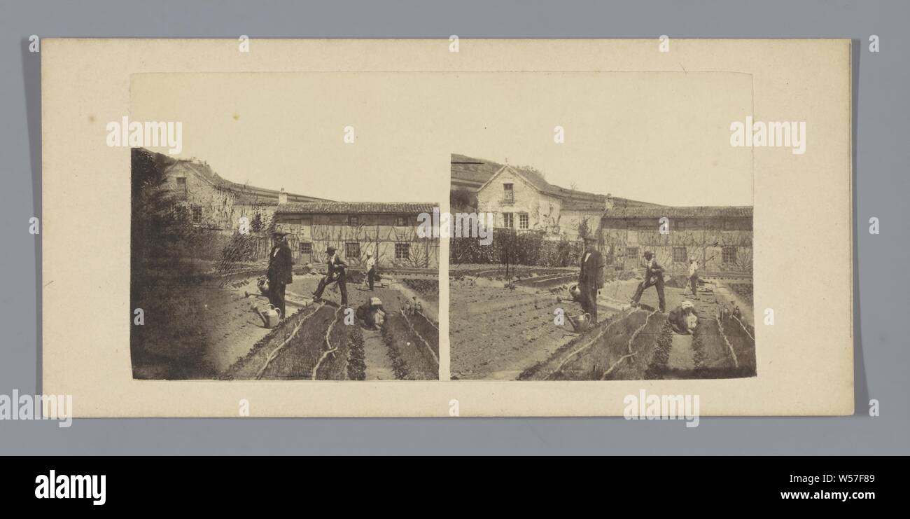 Landarbeiter in einem Gemüsegarten vor einem Haus, Bauern, Arbeiter, Arbeiter, Europa, anonym, C. 1850 - C. 1880, Pappe, Fotopapier, Eiklar drucken, H 85 mm x B 170 mm Stockfoto