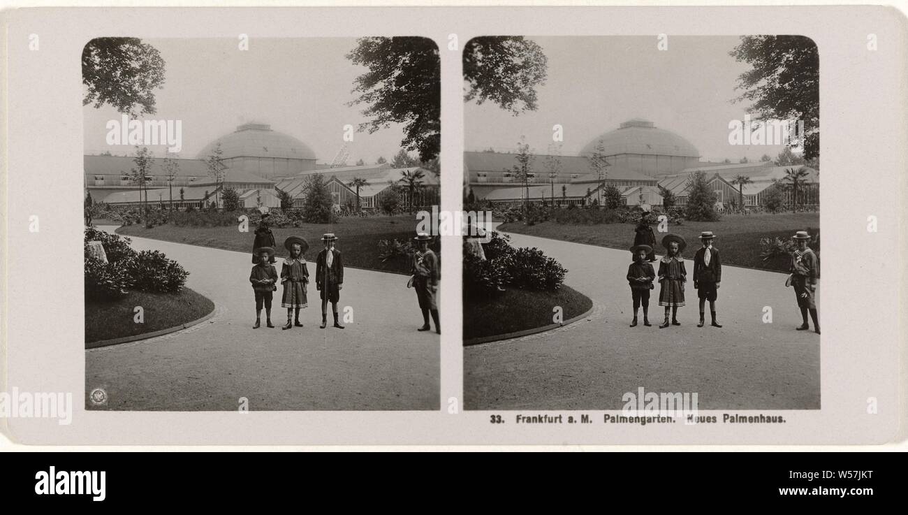 Frankfurt a.M. Palmengarten. Neues Palmenhaus, Neue Photographische Gesellschaft, 1900 - 1940 Stockfoto