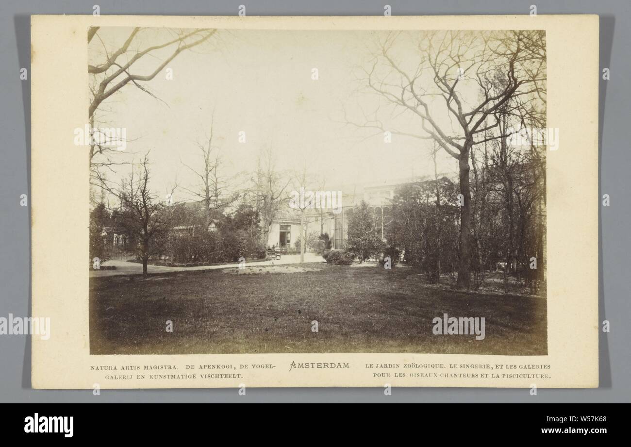 Blick auf die monkey Cage, die Voliere und ein Aquarium in Artis in Amsterdam Natura Artis Magistra. Der Affe Käfig, der Vogel Galerie und künstliche Fischzucht (Titel auf Objekt) Le Jardin Zoologique. Le Singerie und die Galerien für die Oiseaux Chanteurs und die Fischzucht. (Titel auf Objekt) Amsterdam (Titel der Serie auf Objekt), Zoologischer Garten, Tierpark, als Ort, wo nicht-heimische Tiere gehalten werden (Unterkunft für Tiere), Artis, Königlichen Zoologischen Gesellschaft "Natura Artis Magistra', Andries Jager (möglicherweise), Amsterdam, 1860-1890, Pappe, Fotopapier, Eiklar drucken, h 109 mm × w gesehen Stockfoto