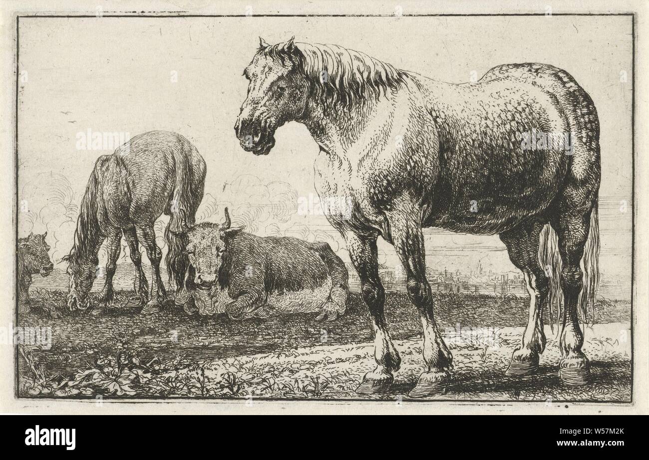 Pferde und Kühe Tiere (Titel der Serie) Zoographiam (Titel der Serie), Pferd, Kuh, Jan van den Hecke (I), Brüssel (möglicherweise), 1656, Papier, Ätzen, H 102 mm x B 162 mm Stockfoto