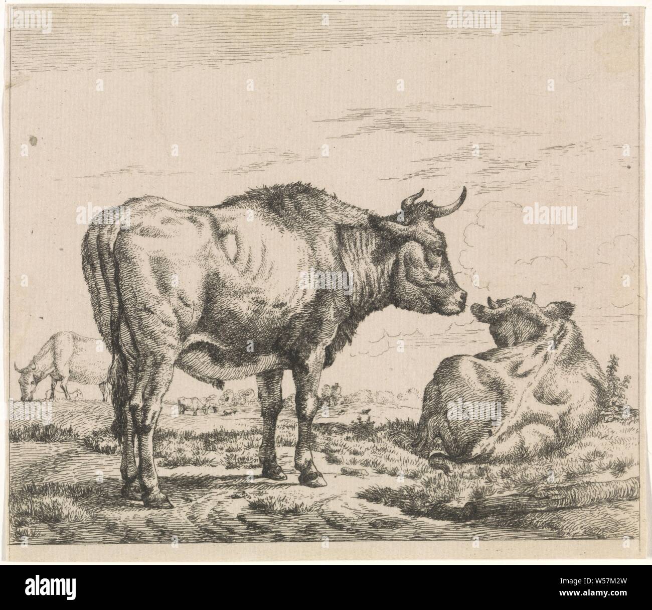 Stehend und liegend Stier Rinder (Titel der Serie), Stier, Adriaen van de Velde, Nördliche Niederlande, 1659 - 1709, Papier, Ätzen, H 114 mm x B 131 mm Stockfoto