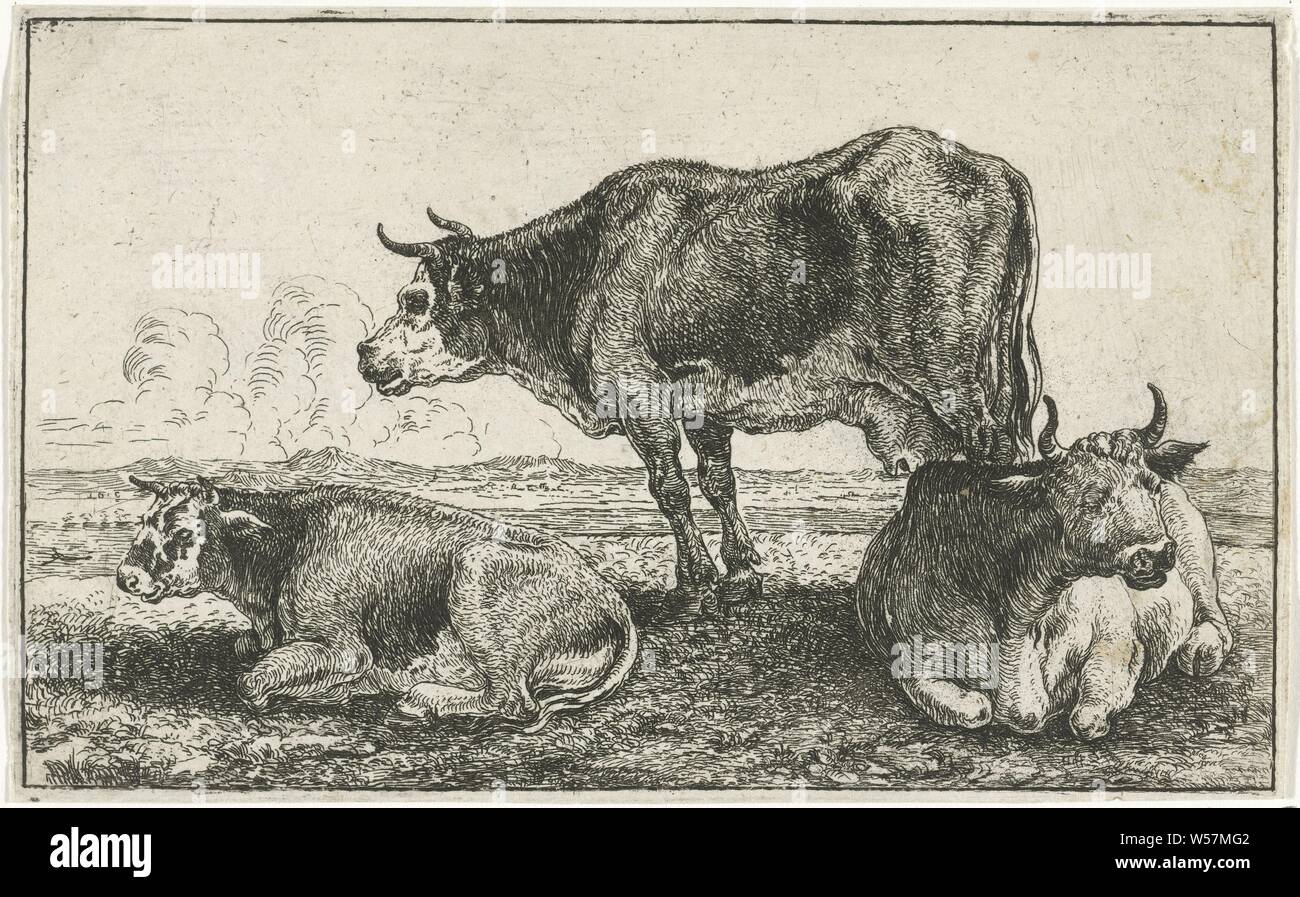 Drei Kühe Tiere (Titel der Serie) Zoographiam (Titel der Serie), Kuh, Jan van den Hecke (I), Brüssel (möglicherweise), 1656, Papier, Ätzen, H 103 mm x B 165 mm Stockfoto