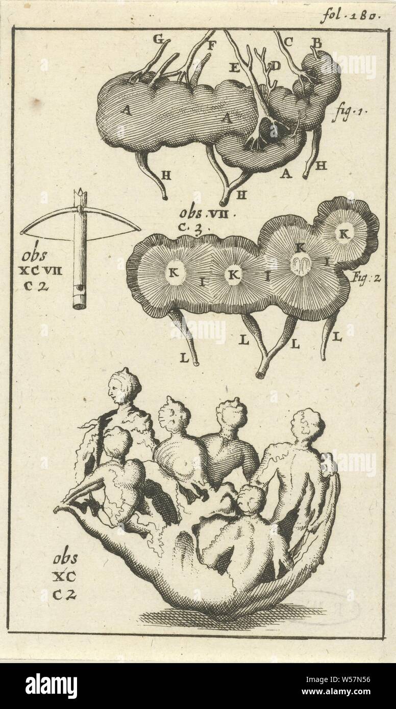 Anatomische Abbildung VII, Drucken oben rechts: fol. 180, anatomische Modelle (in der Regel Serie von fünf Zahlen), Biologie, Jan Luyken, Amsterdam, 1680 - 1688, Papier, Ätzen, H 138 mm x B 84 mm Stockfoto