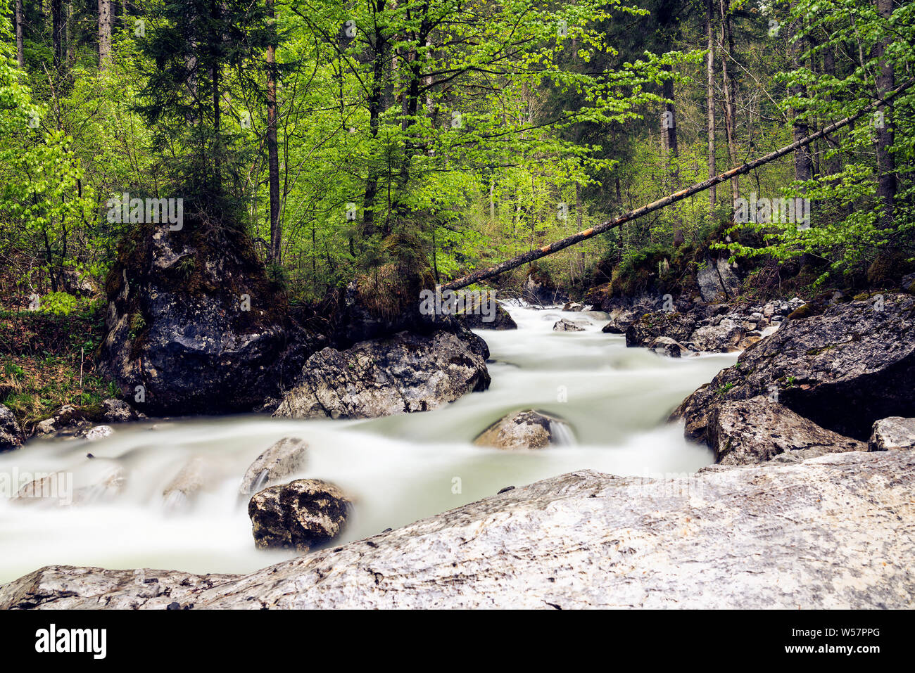 Heitere und ruhige Alpen Creek. Lange Belichtung photograp Stockfoto