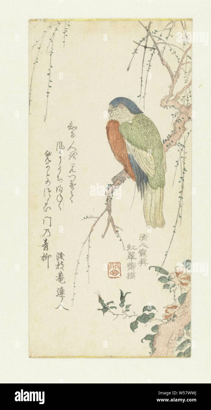 Papagei in einem Pflaumenbaum, ein Papagei in einem Pflaumenbaum, unter eine Pfingstrose. Ein Gedicht auf der linken Seite., Kitao Shigemasa (auf Objekt erwähnt), Japan, C. 1800 - C. 1810, Papier, Farbholzschnitt, H 203 mm x B 176 mm Stockfoto