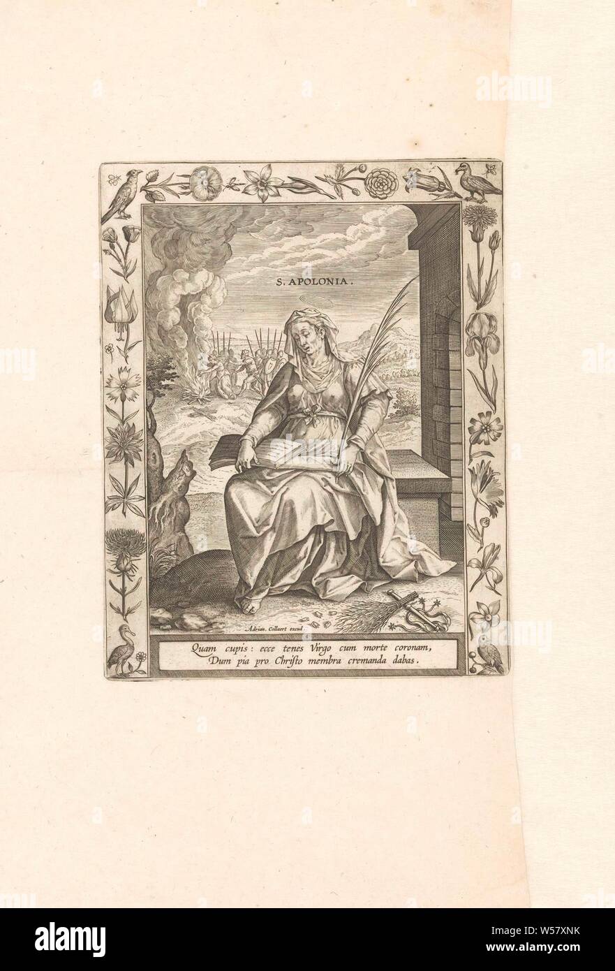 Die Heilige Apollonia, der Heilige Apollonia. Teil einer Serie von 24 Darstellungen der weiblichen Märtyrer (martyrologium). Die Leistungen verfügen über Grenzen mit Blumen und Tieren, die Jungfrau und Märtyrerin Apollonia oder Alexandria, mögliche Attribute: Buch, Krone, Palm, Zahn in Zange, Blumen, Vögel, Adriaen Collaert, Antwerpen, C. 1590 - C. 1610, Papier, Gravur, H 196 mm x B 150 mm Stockfoto