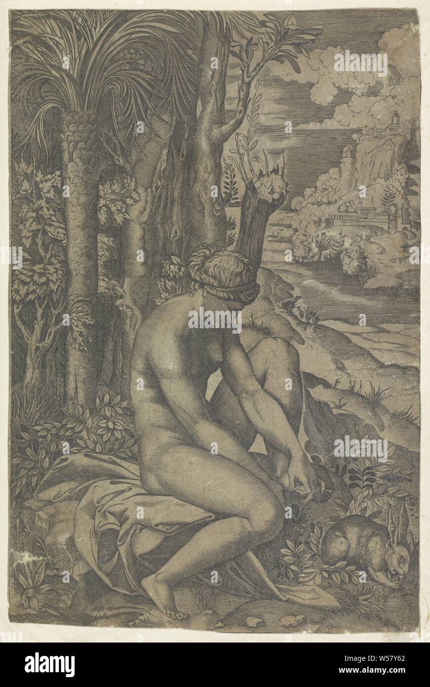 Die Venus und die Rose, Venus sitzt auf einem Felsen in einer Landschaft. Sie nimmt einen Dorn aus dem rosenbusch aus ihrem Fuß. Im Vordergrund rechts ein Kaninchen., Venus durch die Dornen oder eine Rose - Bush verwundet, die Rosen Wechsel von Weiß zu Rot (evtl. mit der Geschichte von Adonis kombiniert), Marco Dente, Italien, 1498 - 1532, Papier, Gravur, H 256 mm x B 172 mm Stockfoto