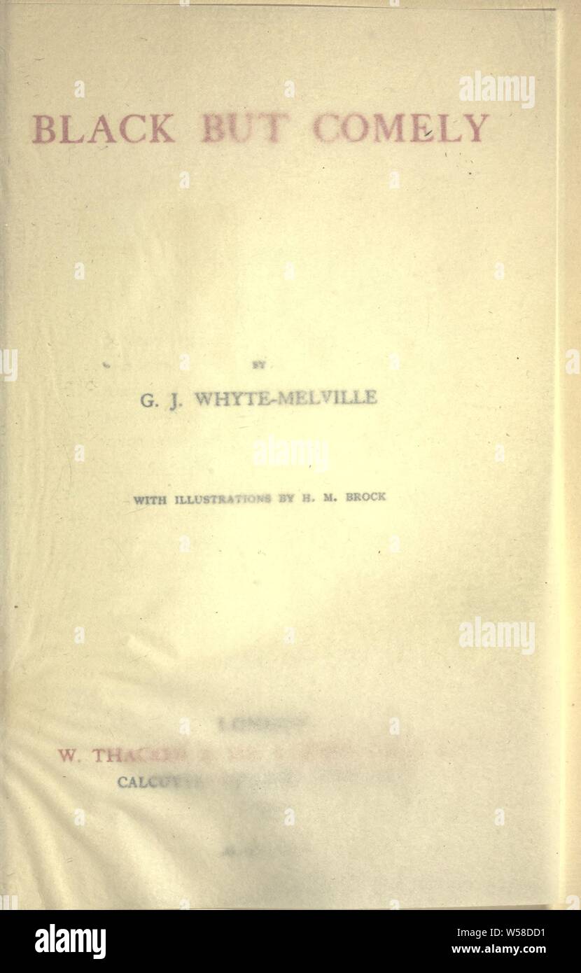 Die brookes von Bridlemere: Whyte-Melville, George John, 1812-1878 Stockfoto